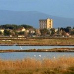 Tarquinia saline oasi