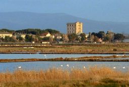 Tarquinia saline oasi