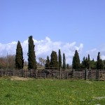 Tarquinia Roccaccia