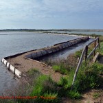 Riserva delle Saline di Tarquinia