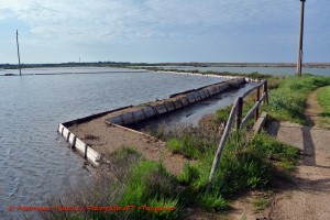 Riserva delle Saline di Tarquinia