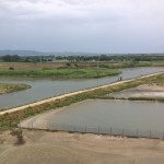 Riserva delle Saline di Tarquinia