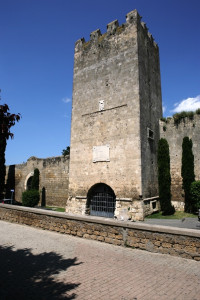Torre Dante tarquinia