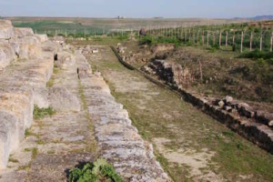 ara della regina tarquinia tempio