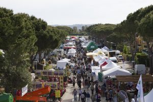 Mostra Mercato Macchine Agricole - Tarquinia