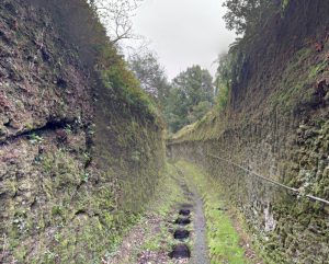 pitigliano arhceologia