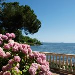 bolsena lazio festa ortensie tuscia eventi