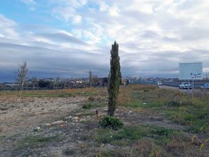 mitigazione ambientale tirrenica tarquinia