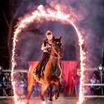 tarquinia horse show