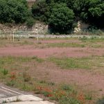 Le condizioni dello Stadio Cardoni a Tarquinia