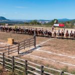 Torneo dei Butteri Tolfa