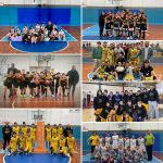 Basket Pegaso