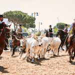 Maremma d'aMare