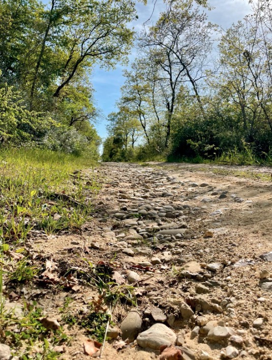 Strade rurali