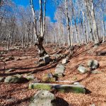Santa Fiora - Percorsi naturalistici