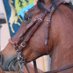 Cavallo