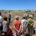 Scavi archeologici a Vulci