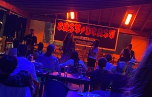 Un'esibizione degli Easy Deasy a La Pineta in Rock a Tarquinia Lido