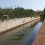 Fosso di Scolo dei Giardini