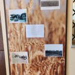 Pannello con foto storiche dell’attività agricola di Tarquinia esposto al Palazzo Vipereschi nell’ambito del progetto VAT.