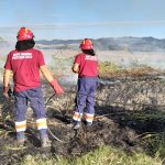 Volontari AEOPC Tarquinia spengono un incendio di sterpaglie a bordo strada a Montericcio