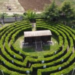 Una vista dall'alto di un'area del Parco della Pacealla Cittadella di Semi di Pace a Tarquinia